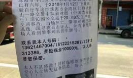 珠海爆料哥最新消息,揭秘珠海重大事件背后真相！