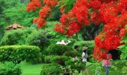 深圳木棉花爆料案件最新,揭开娱乐圈潜规则黑幕