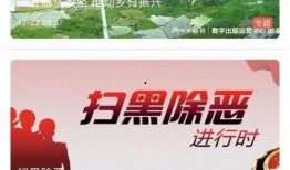 柳州最新爆料新闻报道视频,视频揭露惊人真相，引发社会热议！