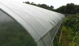 南城大棚爆料最新消息,揭秘农业科技新进展