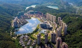 鸡东爆料真实情况最新