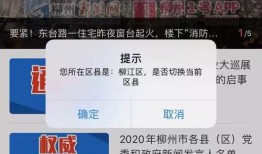 柳州最新爆料新闻报道视频,视频揭露惊人真相，引发社会热议！