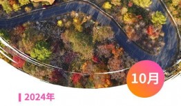 缅北暗黑爆料2024年最新,揭秘缅北地区最新动态与内幕