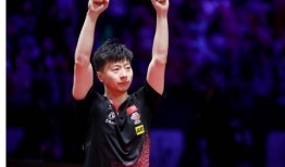 刘诗雯爆料最新视频全集,最新视频全集背后的故事与感悟