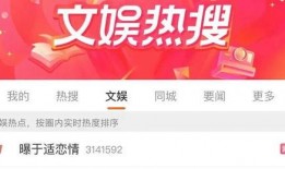 2024娱记最新爆料,娱乐圈惊天大事件揭秘